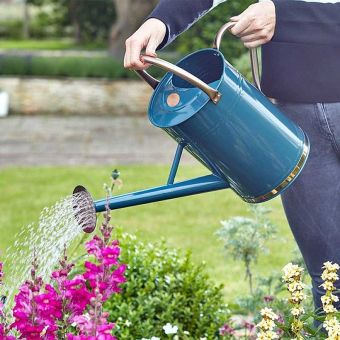 Blue Watering Can 9L