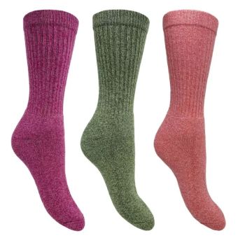 Bramble Ladies All Terrain Socks I Size 4-7 I 3 Pairs