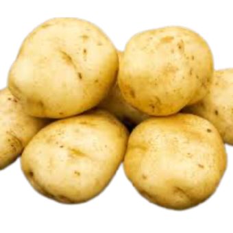 British Queen Seed Potatoes 5kg | Second Early Potatoes for Boiling, Baking, Roasting & Chips