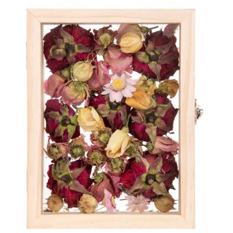 Floating Frame S for Dried Flowers and Botanical Displays – Freestanding Glass Display Frame