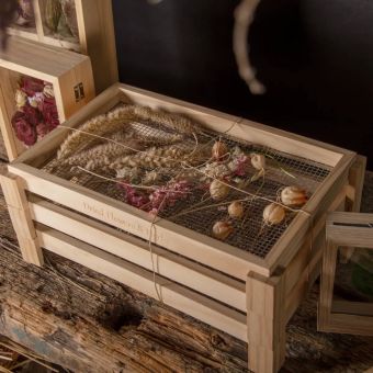 Flowers & Herbs Drying Screen Set of 3 – Stackable Pinewood Air Drying Racks