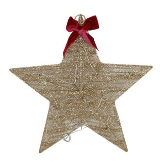 Gold Glitter LED Star 30cm