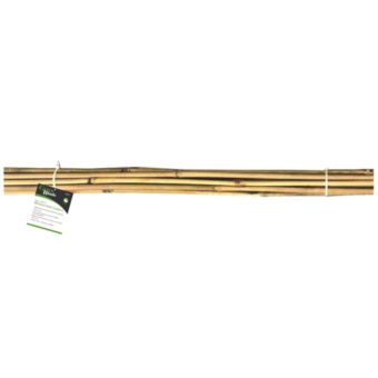 Green Blade Bamboo Plant Support 90cm 10 Pack | Natural Bamboo Canes for Garden Plants