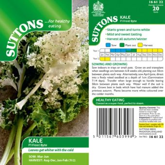 Kale ‘Frost Byte’ F1 Seeds | Sweet Winter Kale for Autumn & Winter Harvests