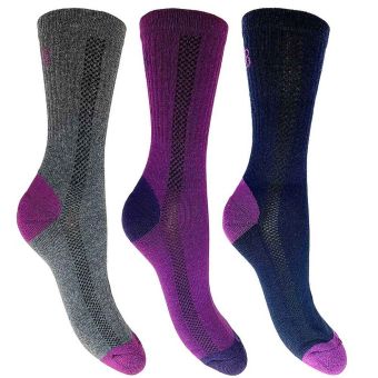 Ladies Lightweight Hiker Socks (Size 4-7) - Pack of 3