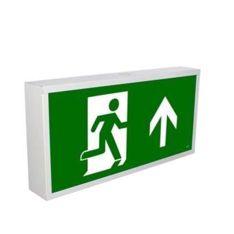 LED Maintained Emergency Exit Box