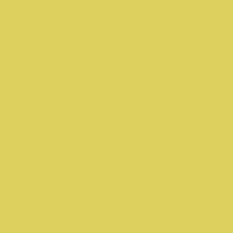 Fleetwood Cool Colours Washable Soft Sheen Paint Limelight 75ML