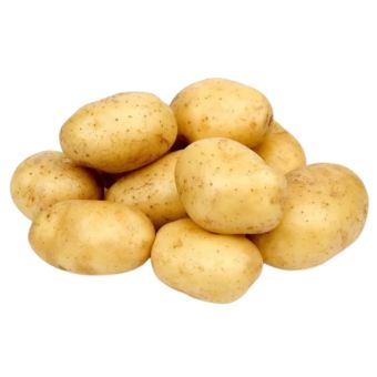 Maris Piper Seed Potatoes 5kg | Good for Roasting, Baking & Chips