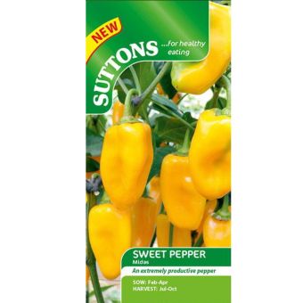 Pepper Sweet Seeds - Midas