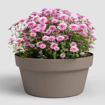 ARTEVASI Capri Bowl Plant Pot Dark Taupe 30cm – Recycled Plastic Planter