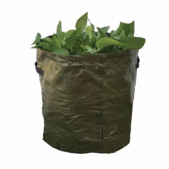 Sprouting Potato Tub