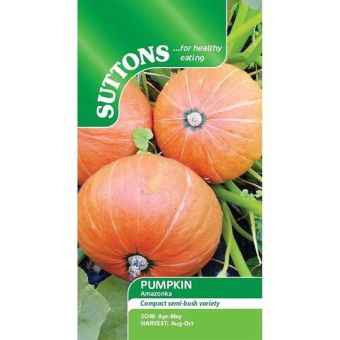 Pumpkin Seeds - Amazonka