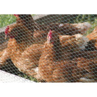 PVC Coated Wire Netting 25mm - 1 x 10m