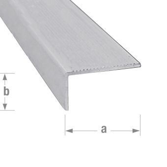 Raw Aluminium Step Edging - 45mm x 23mm x 2m
