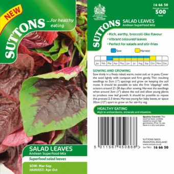 Salad Leaves ‘Andean Superfood Mix’ Seeds | Colourful Spinach Alternative for Home Growing