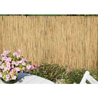 Ambassador Reed Fence / Wall Screening 4 x 1m
