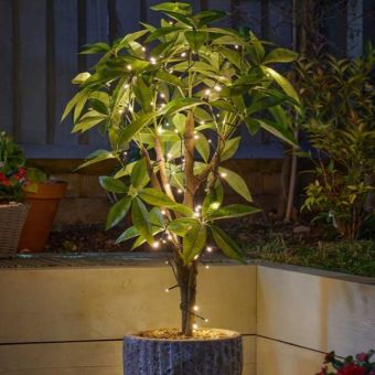 Solar Strings - 50 Warm White LEDs