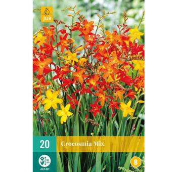 20 Crocosmia Mix 6/7