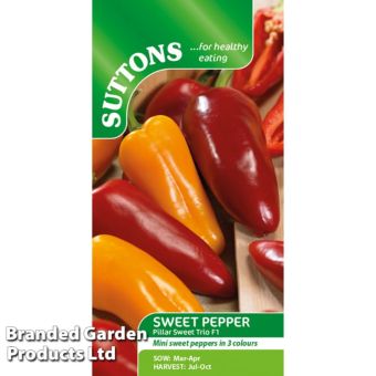 Sweet Pepper ‘Pillar Sweet Trio’ F1 Seeds – Compact Red, Yellow & Orange Mini Peppers