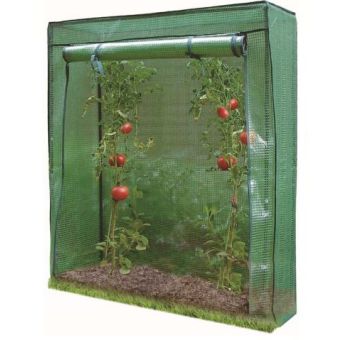 Tomato Greenhouse
