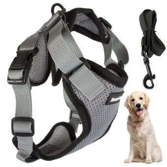 Pressure-Free Dog Harness with Handle and Leash - Xlarge