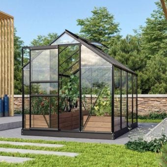 Venus 6200 Greenhouse Black Frame with 3mm Horticultural Glass 6ft x 10ft | Spacious Greenhouse with Sliding Door