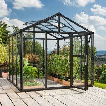 Zeus 10000 Greenhouse Black Frame with Tough Glass Sides & Polycarbonate Roof 8ft x 13ft | Semi-Professional Hobby Greenhouse
