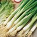 Suttons Seeds - Salad Onion - White Lisbon - Winter Hardy