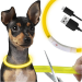 Adjustable LED Dog Collar USB-C Rechargeable Safety Light