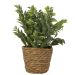 Artificial Green Plant in Seagrass Planter – 28cm | Lifelike Decorative Plant for Home & Office