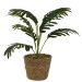 Artificial Green Plant in Seagrass Planter – 42cm Tall | Lifelike Indoor Plant for Home & Office Décor