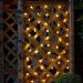 Buzzy Bee Solar String Lights | Warm White Garden Lights - Set of 50