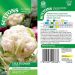 Cauliflower 'Snowball A' - Seeds