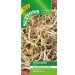 Fenugreek Shoots Seeds 500 Pack I Fast Growing Nutritious Sprouts