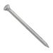 Masonry Nails 60mm - Pack of 10