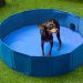 Foldable Dog Pool 120cm x 30cm | Anti-Slip Cooling Paddling Pool for Pets