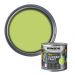 Ronseal Garden Paint Lime Zest 250ml