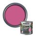 Ronseal Garden Paint Pink Jasmine 250ml