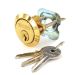 Securit Polished Brass Spare Cylinder Lock with 3 Keys