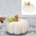 White Chenille Pumpkin Decoration 15cm – Soft Autumn and Halloween Plush Ornament