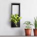 Vertical Wall Plant Frame Small I Indoor Wall Planter Shelf