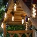 Vintage 365 Solar String Lights | Glass Filament Pendant Lights - Set of 8