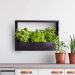 Horizontal Wall Plant Frame Indoor Planter Shelf 58cm