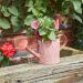 Watering Can Planter - Terracotta