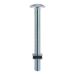 Zinc Roofing Bolts - M6 x 100mm
