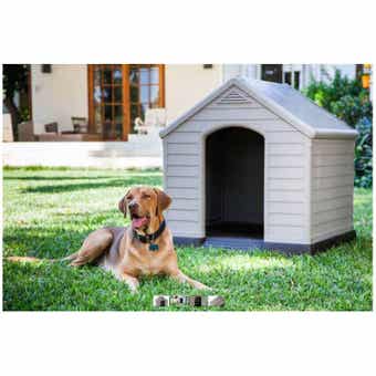 Curver Dog Kennel