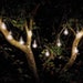Eureka! Retro Solar String Lights | Edison Style Filament Lights Set of 10