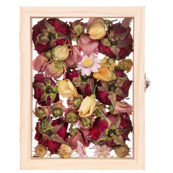 Floating Frame S for Dried Flowers and Botanical Displays – Freestanding Glass Display Frame