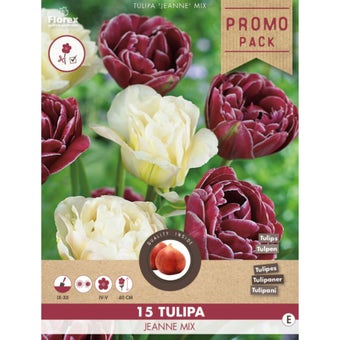 Florex Tulip Jeanne Mix 1112 - 15 pieces