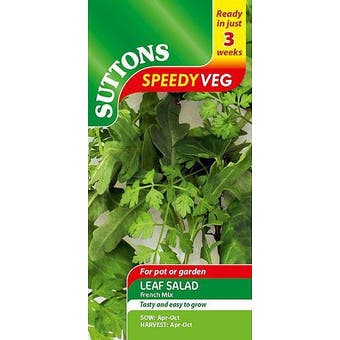 Leaf Salad Seeds - French Mix